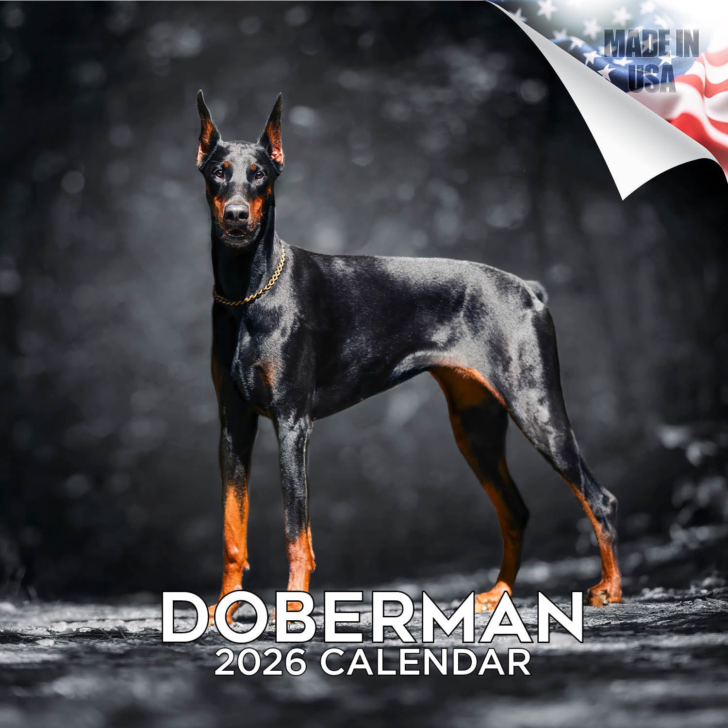 Doberman (US) Wall Calendar 2026