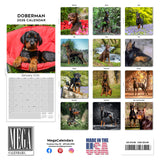 Doberman (US) Wall Calendar 2026