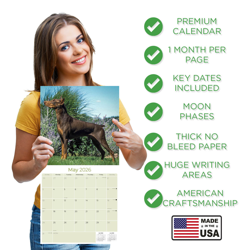 Doberman (US) Wall Calendar 2026