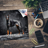 Doberman (US) Wall Calendar 2026