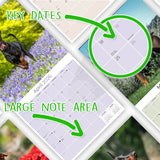 Doberman (US) Wall Calendar 2026