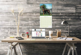 Doberman (US) Wall Calendar 2026