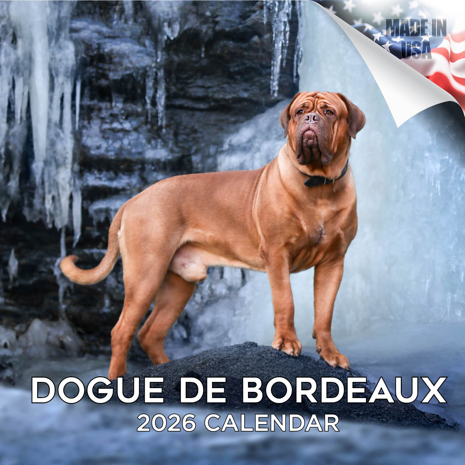 Dogue de Bordeaux Wall Calendar 2026