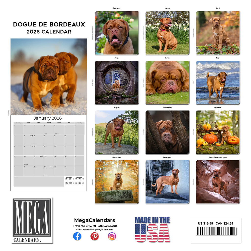 Dogue de Bordeaux Wall Calendar 2026