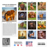 Dogue de Bordeaux Wall Calendar 2026