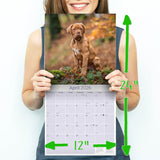 Dogue de Bordeaux Wall Calendar 2026