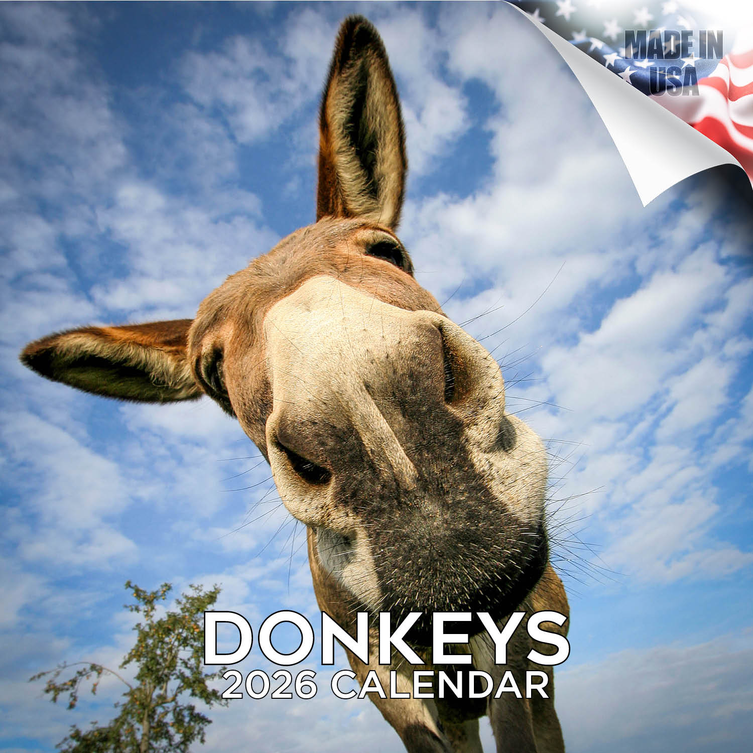 Donkeys Wall Calendar 2026