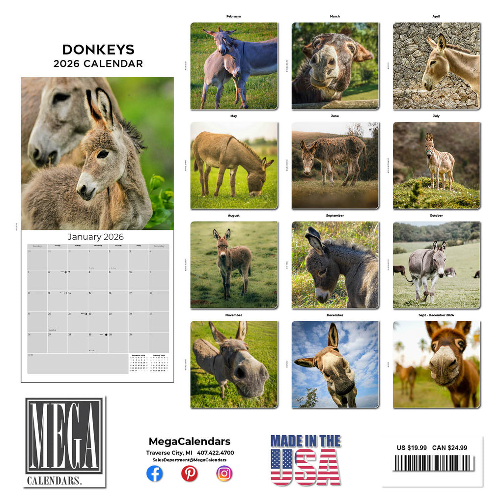 Donkeys Wall Calendar 2026