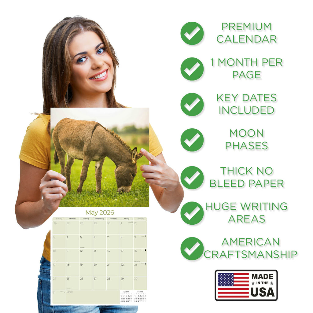 Donkeys Wall Calendar 2026