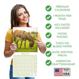 Donkeys Wall Calendar 2026