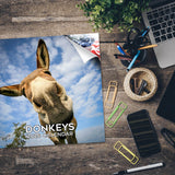 Donkeys Wall Calendar 2026