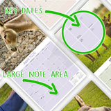 Donkeys Wall Calendar 2026