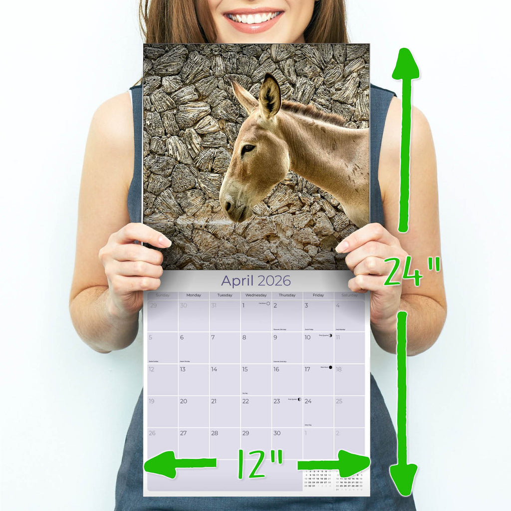 Donkeys Wall Calendar 2026