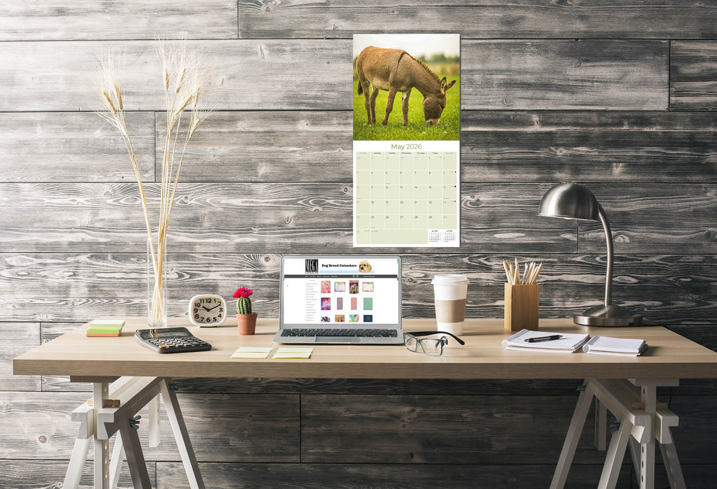 Donkeys Wall Calendar 2026