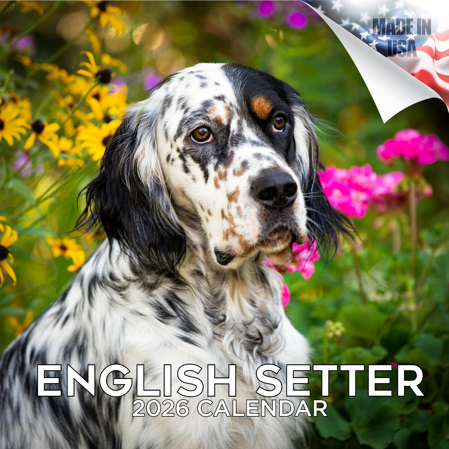 English Setter Wall Calendar 2026