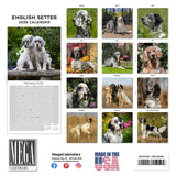 English Setter Wall Calendar 2026