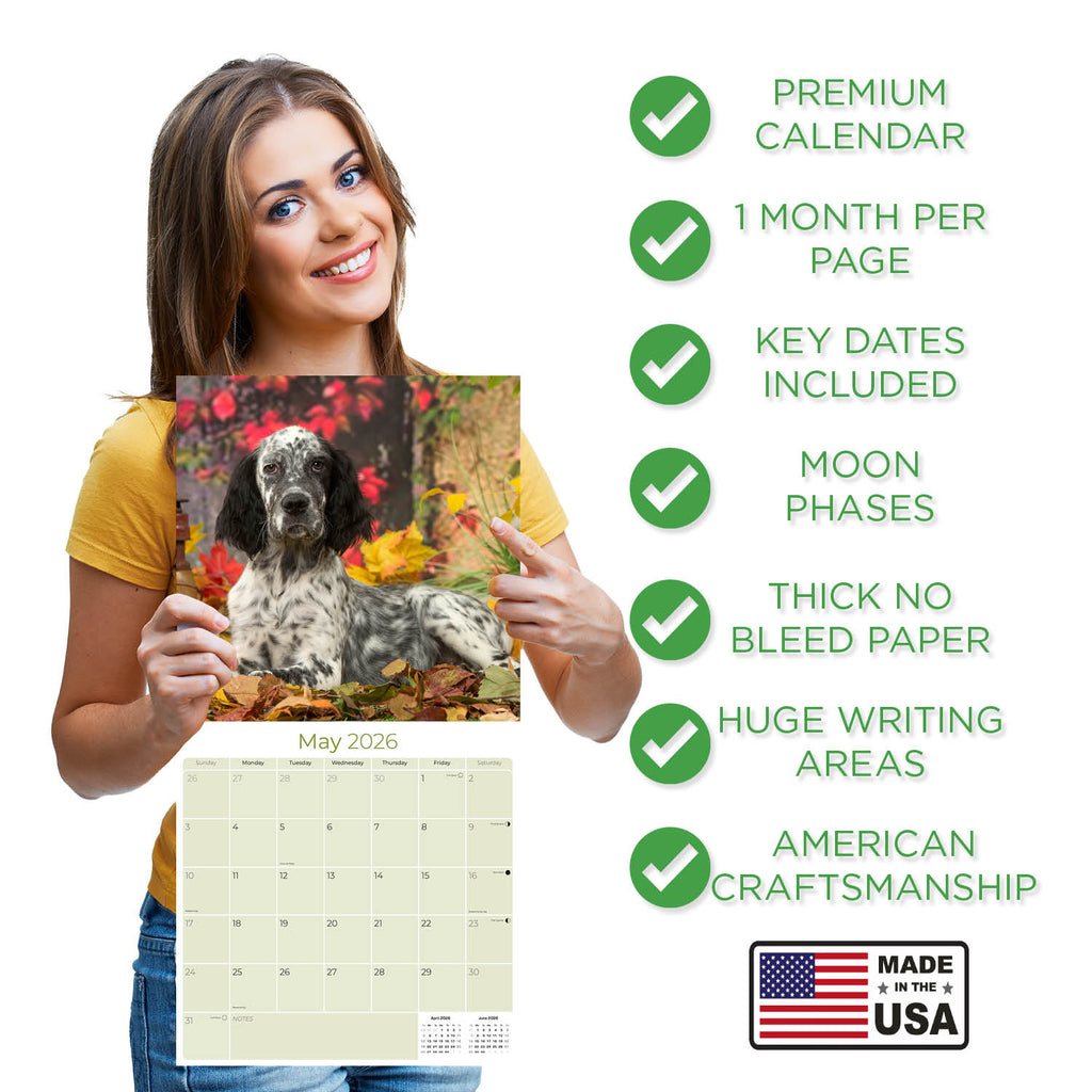 English Setter Wall Calendar 2026