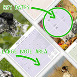English Setter Wall Calendar 2026