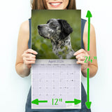 English Setter Wall Calendar 2026