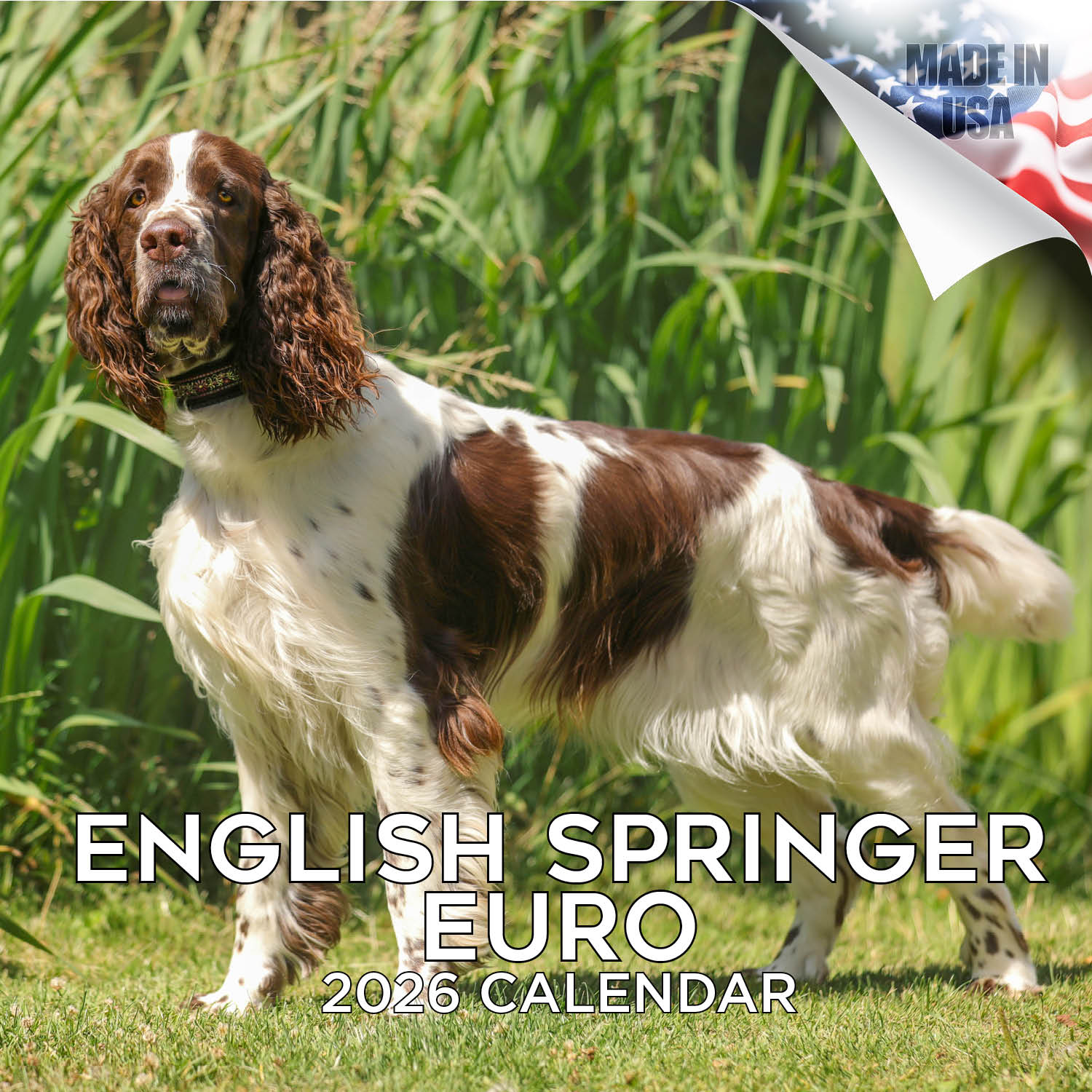 English Springer Spaniel (Euro) Wall Calendar 2026