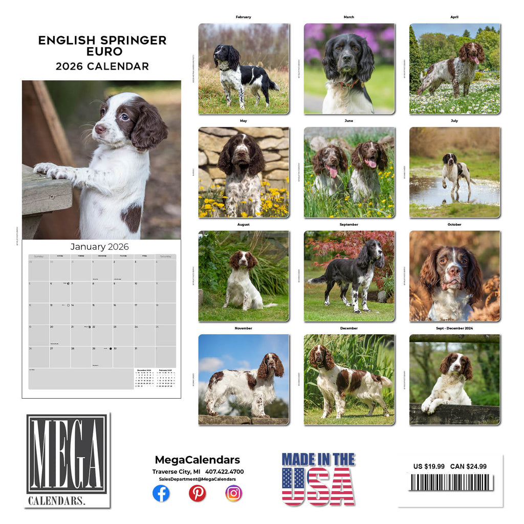 English Springer Spaniel (Euro) Wall Calendar 2026