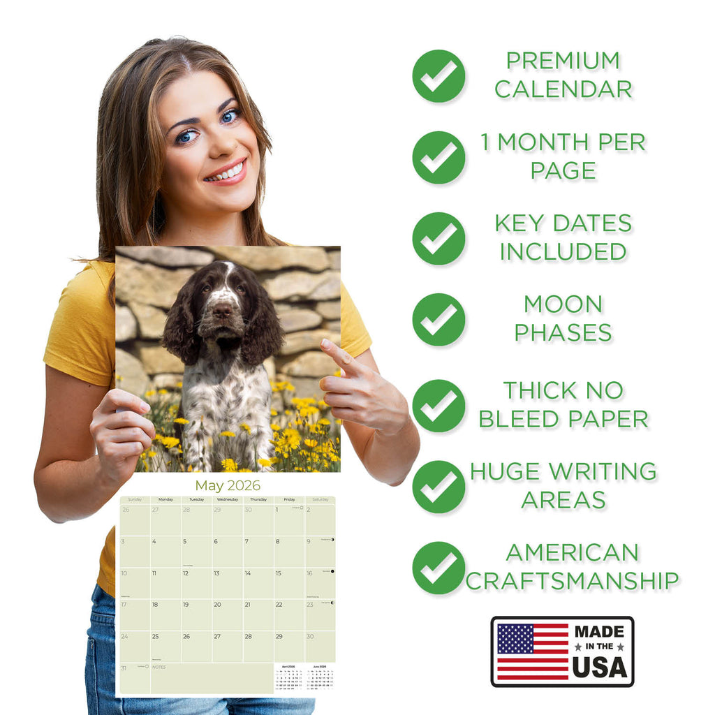 English Springer Spaniel (Euro) Wall Calendar 2026