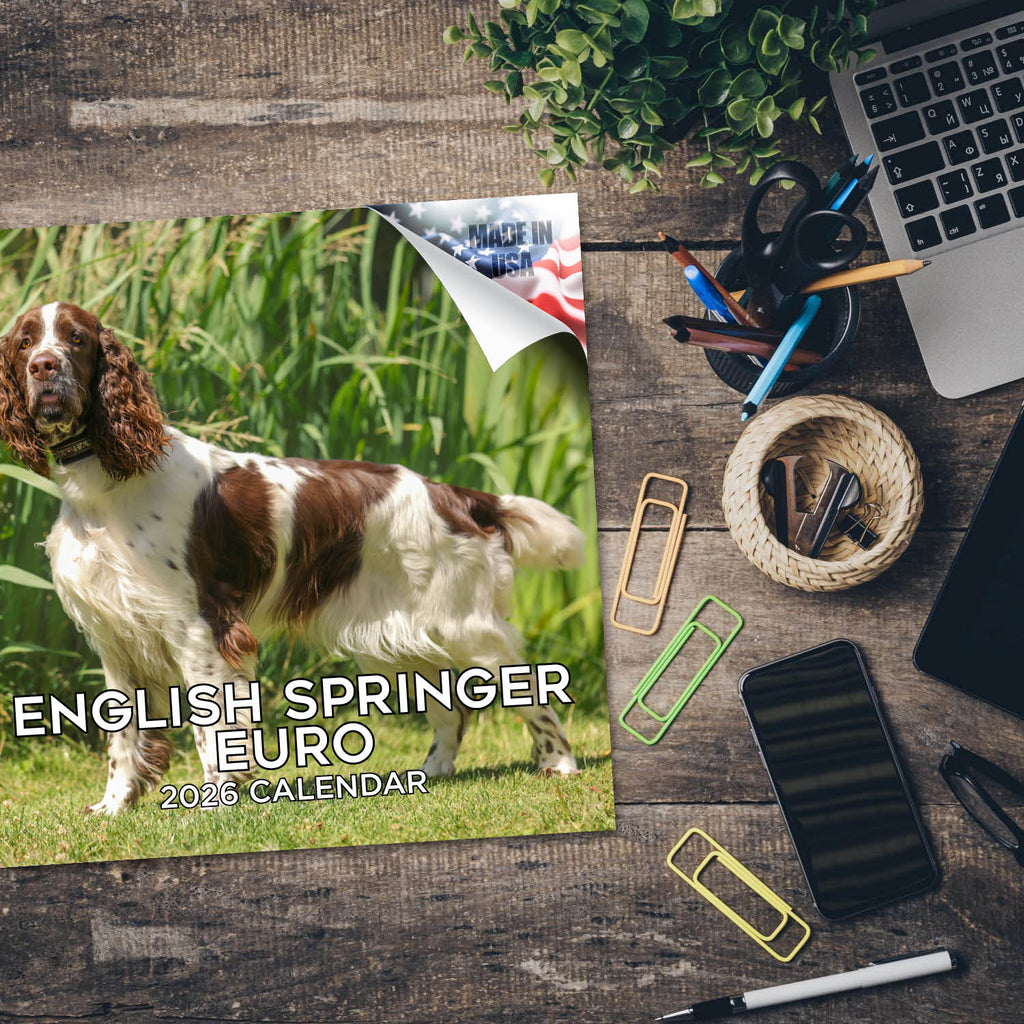 English Springer Spaniel (Euro) Wall Calendar 2026