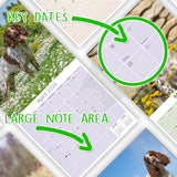 English Springer Spaniel (Euro) Wall Calendar 2026
