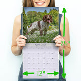 English Springer Spaniel (Euro) Wall Calendar 2026