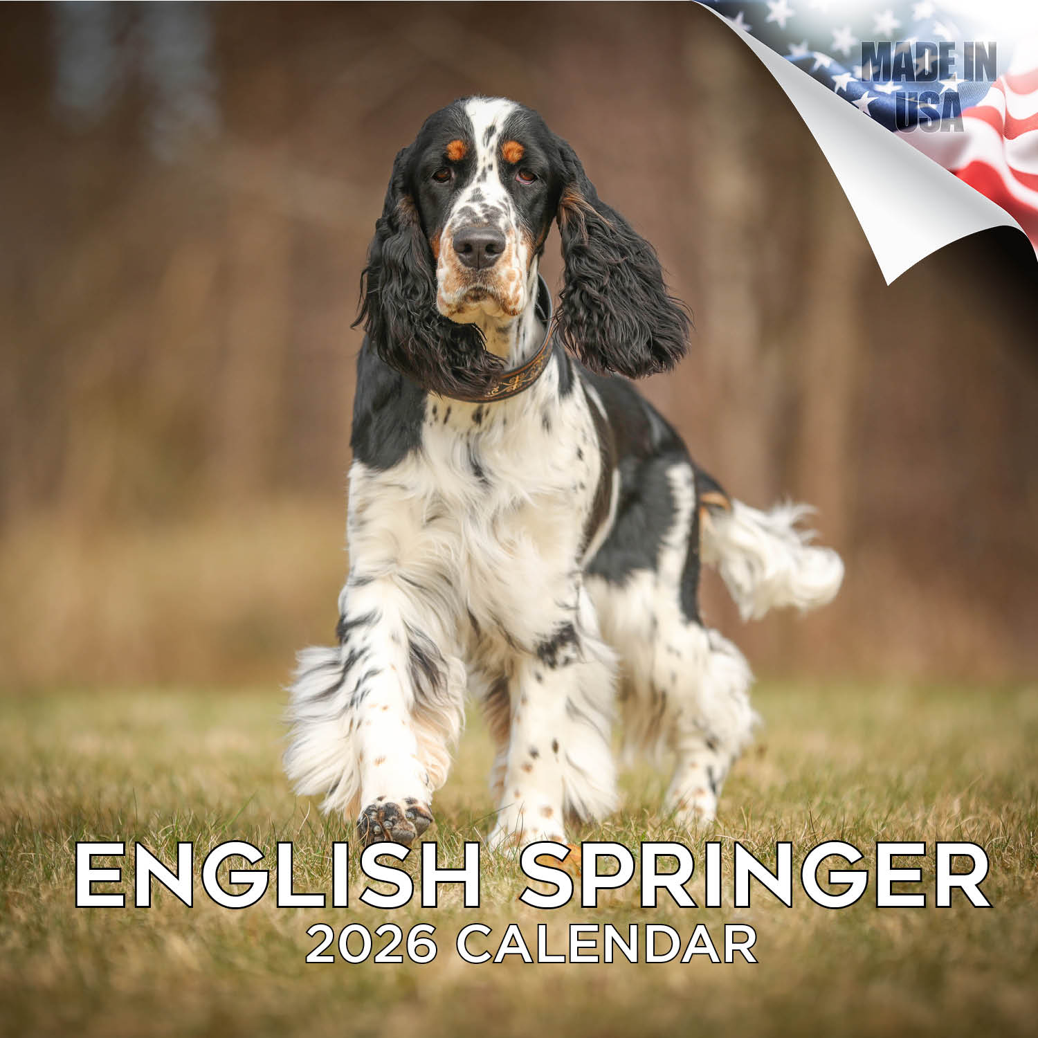 English Springer Spaniel (US) Wall Calendar 2026