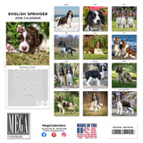 English Springer Spaniel (US) Wall Calendar 2026