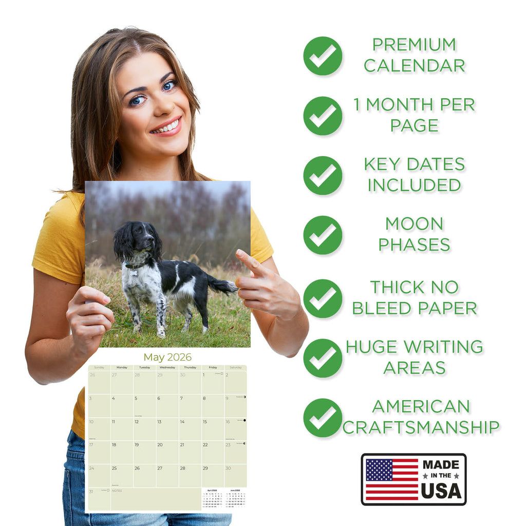 English Springer Spaniel (US) Wall Calendar 2026