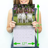 English Springer Spaniel (US) Wall Calendar 2026