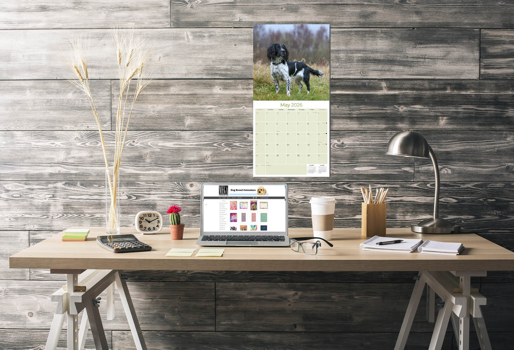 English Springer Spaniel (US) Wall Calendar 2026