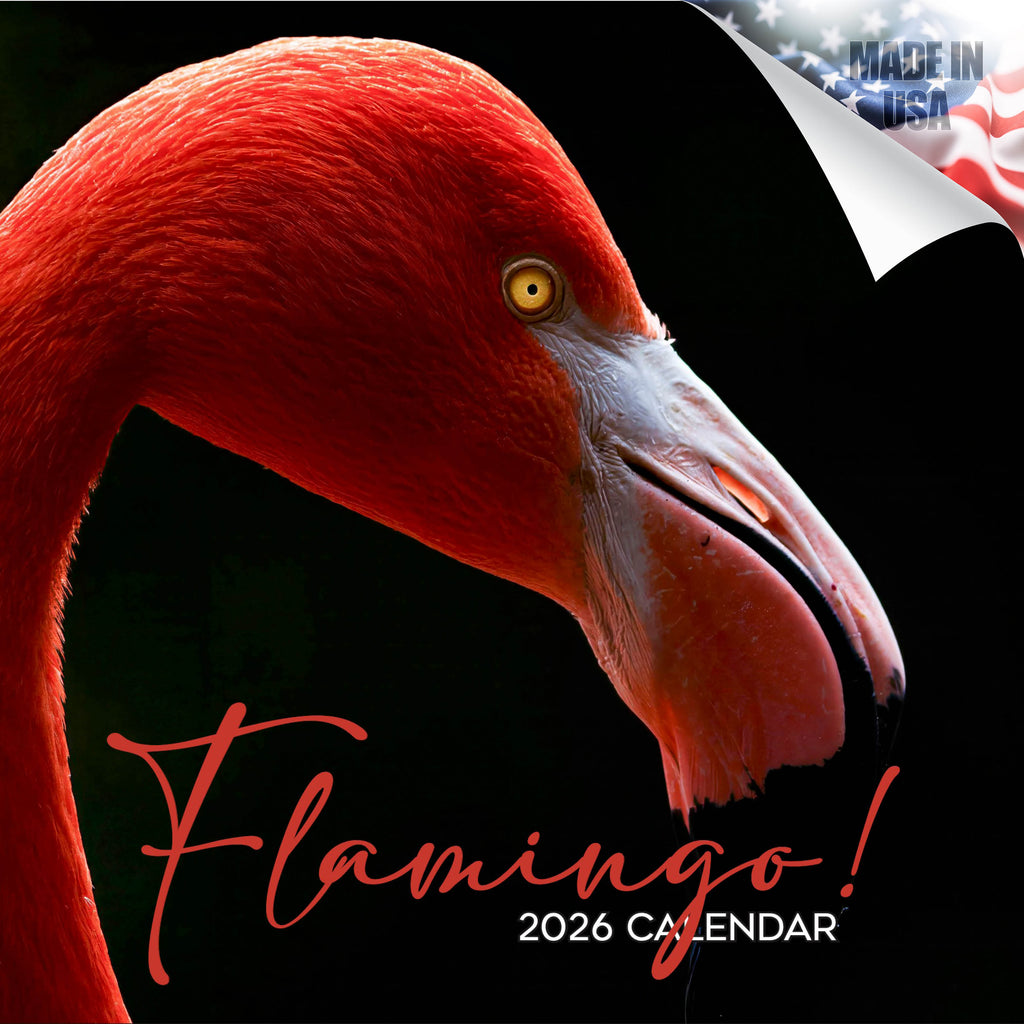 RED EMBER Flamingos 2026 Wall Calendar 12 Month | Tanzania