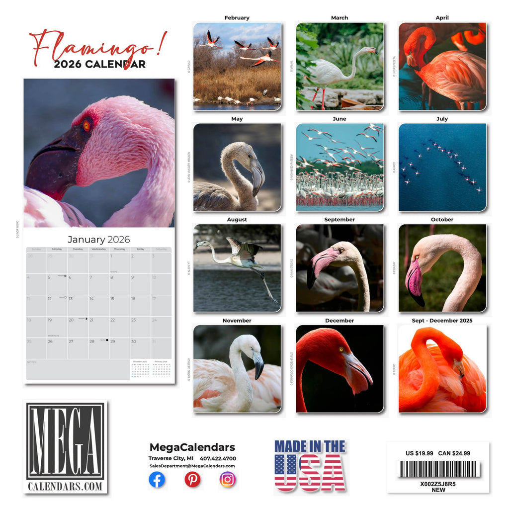 Flamingo Wall Calendar 2026