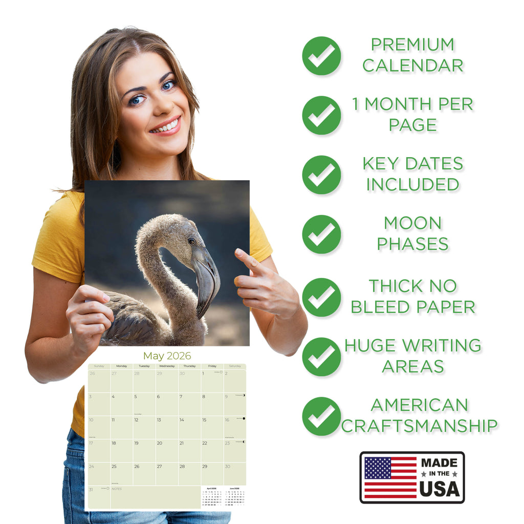 Flamingo Wall Calendar 2026