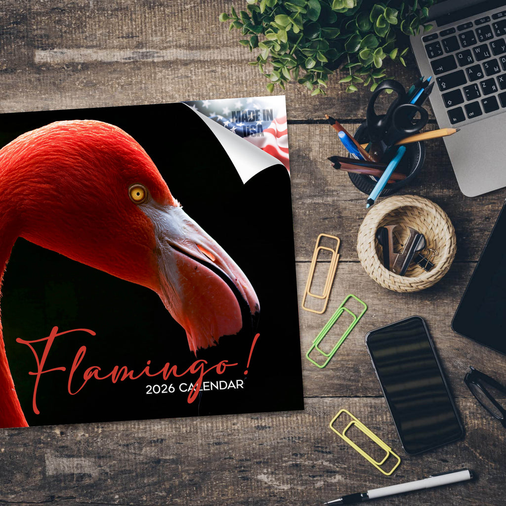 Flamingo Wall Calendar 2026
