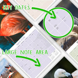 Flamingo Wall Calendar 2026