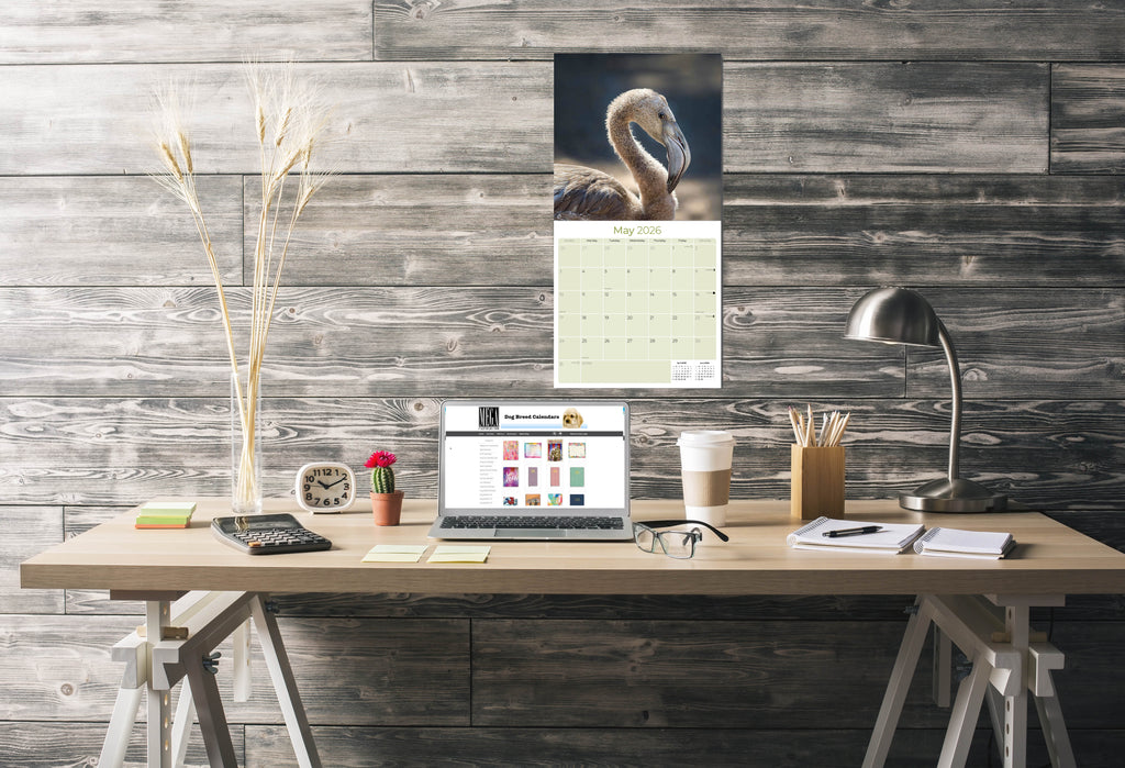 Flamingo Wall Calendar 2026