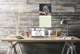 Flamingo Wall Calendar 2026
