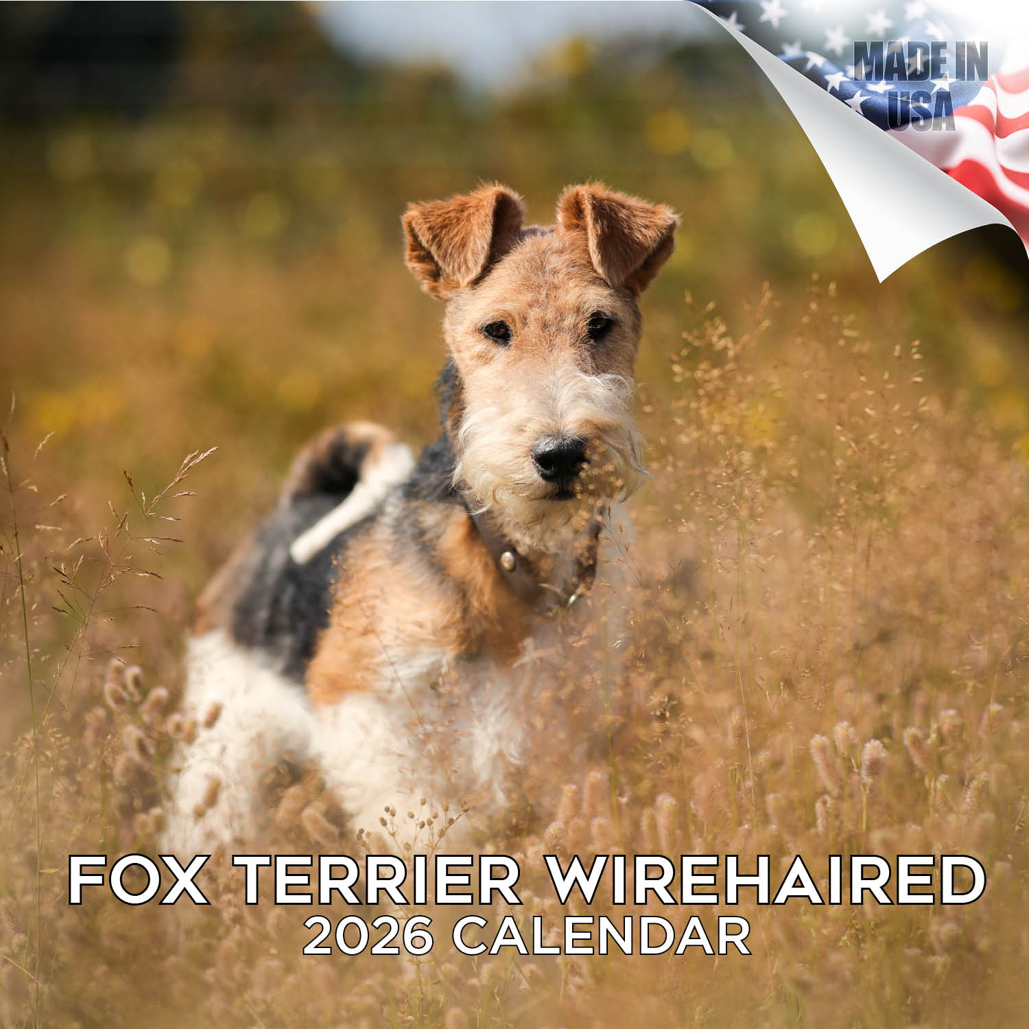 Fox Terrier (Wirehaired) Wall Calendar 2026