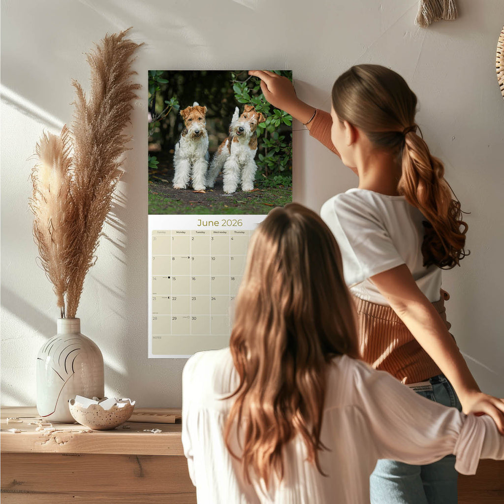 Fox Terrier (Wirehaired) Wall Calendar 2026