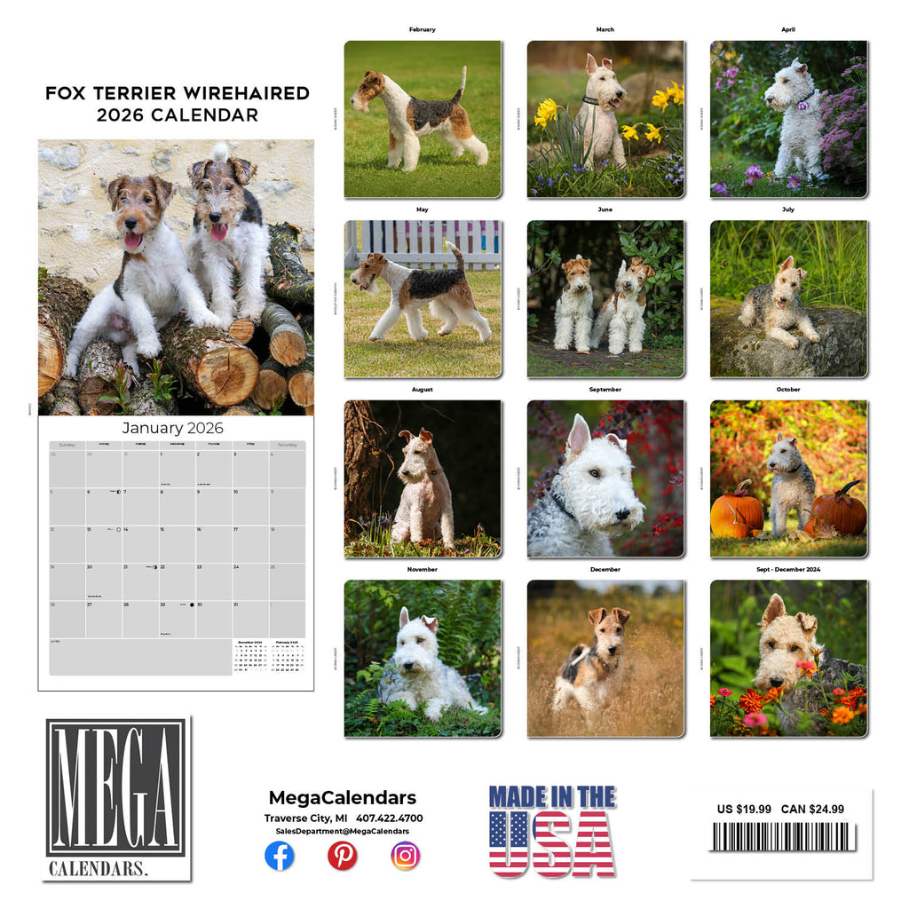 Fox Terrier (Wirehaired) Wall Calendar 2026