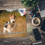 Fox Terrier (Wirehaired) Wall Calendar 2026