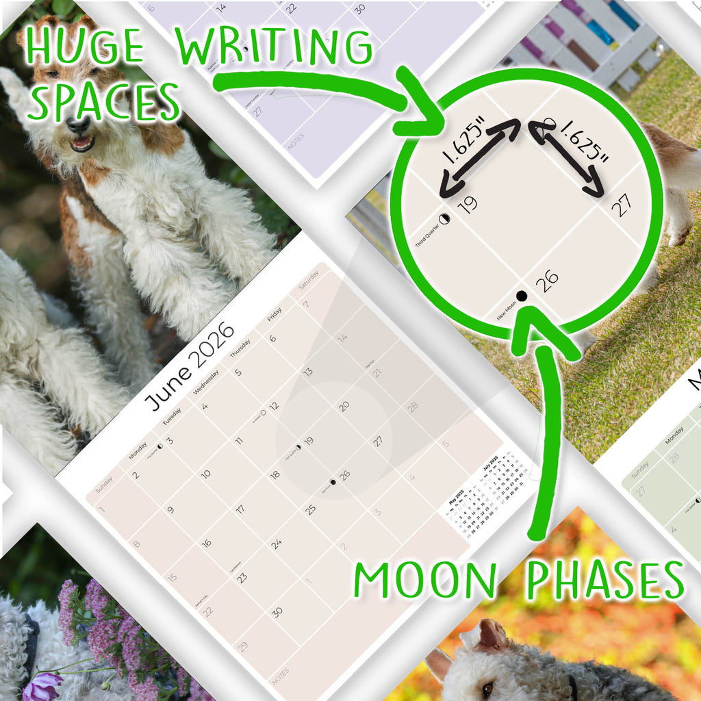 Fox Terrier (Wirehaired) Wall Calendar 2026