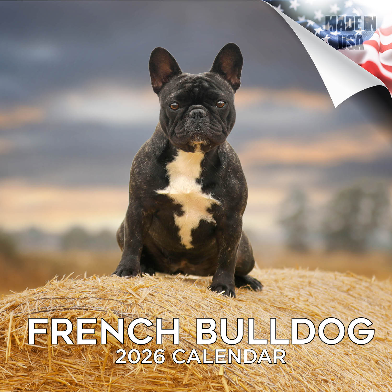 French Bulldog Wall Calendar 2026
