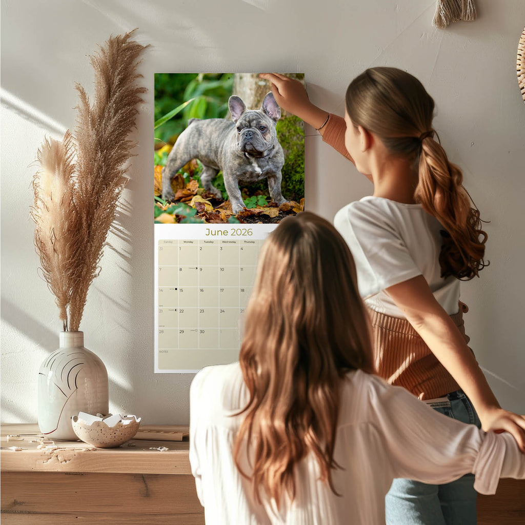 French Bulldog Wall Calendar 2026