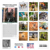French Bulldog Wall Calendar 2026