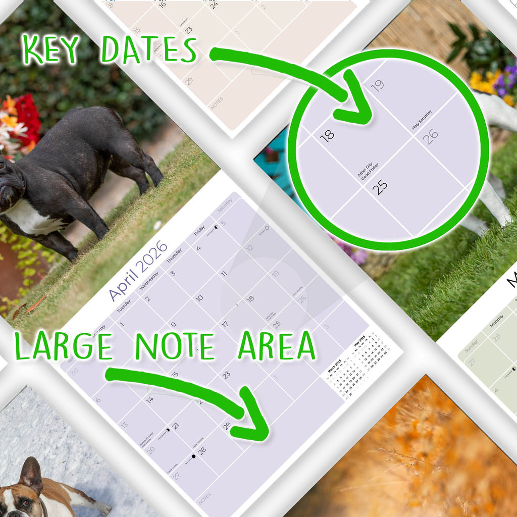 French Bulldog Wall Calendar 2026